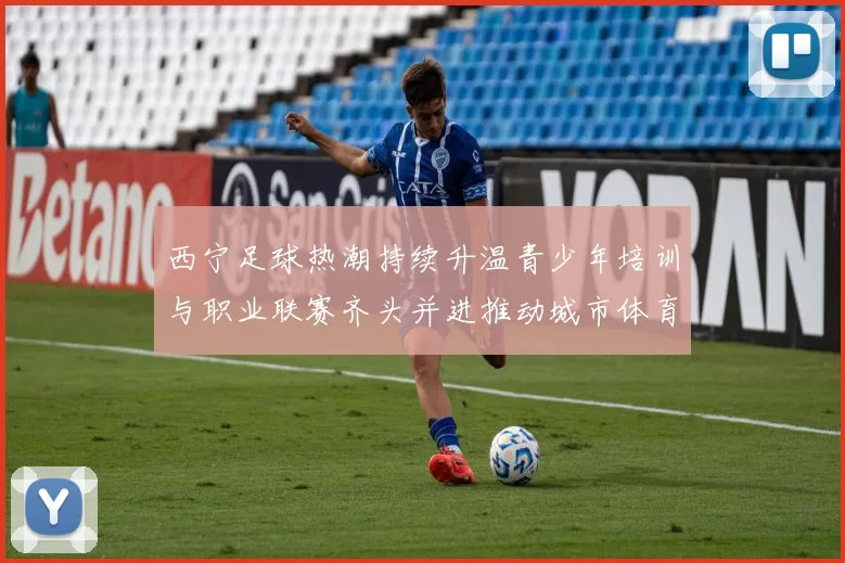 西宁足球热潮持续升温青少年培训与职业联赛齐头并进推动城市体育发展