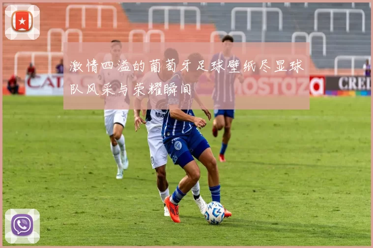 激情四溢的葡萄牙足球壁纸尽显球队风采与荣耀瞬间