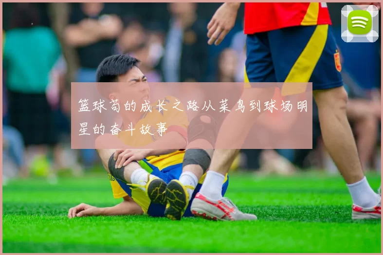 篮球苟的成长之路从菜鸟到球场明星的奋斗故事